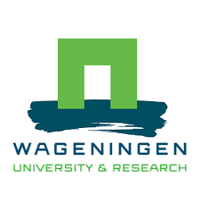 Logo 8
