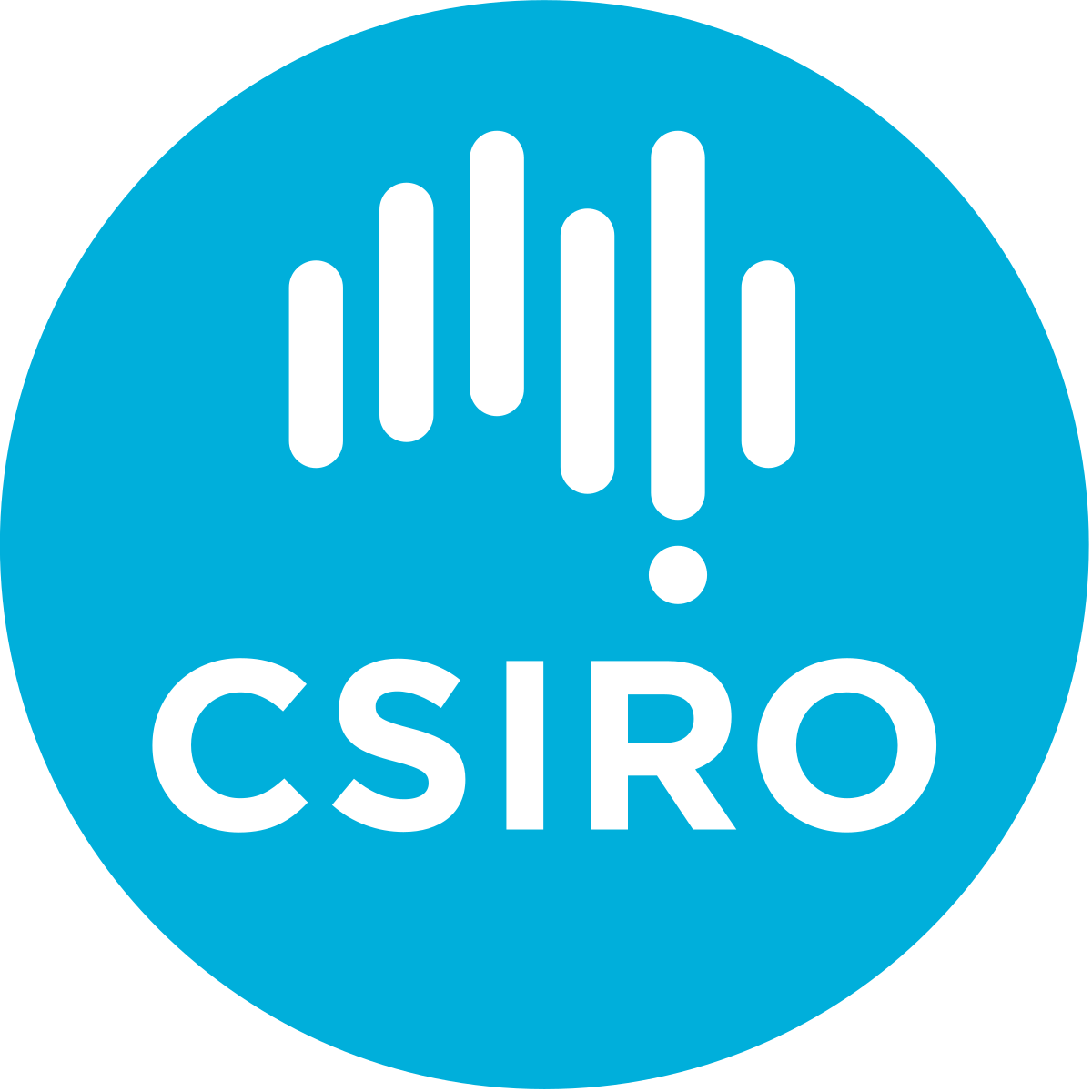 Logo 5